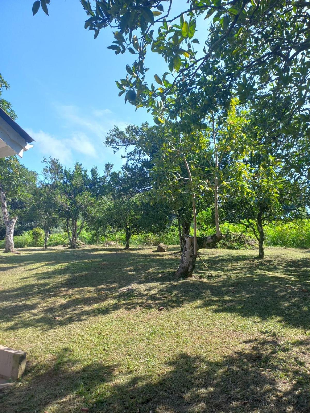 Casa ampla e aconchegante em Gramado Exterior foto